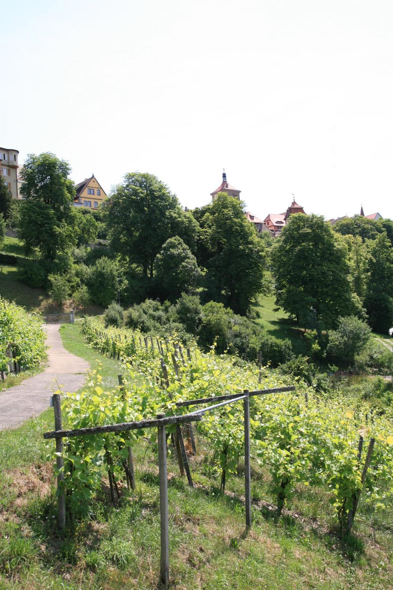 Glocke Weingut Und Hotel روتنبورغ أوب در تاوبر المظهر الخارجي الصورة